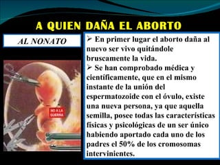A QUIEN DAÑA EL ABORTO AL NONATO En primer lugar el aborto daña al nuevo ser vivo quitándole bruscamente la vida. Se han comprobado médica y científicamente, que en el mismo instante de la unión del espermatozoide con el óvulo, existe una nueva persona, ya que aquella semilla, posee todas las características físicas y psicológicas de un ser único habiendo aportado cada uno de los padres el 50% de los cromosomas intervinientes.  
