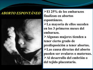 ABORTO ESPONTÁNEO El 25% de los embarazos finalizan en abortos espontáneos. La mayoría de ellos suceden en los 3 primeros meses del embarazo. Algunas mujeres tienden a tener cierto grado de predisposición a tener abortos. Las causa directas del aborto pueden ser ovulares o maternas. Al desarrollo del embrión o del tejido placentario. 