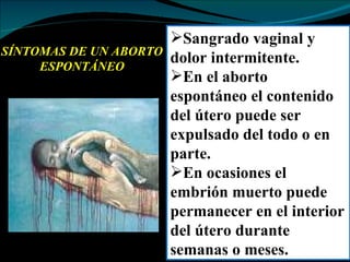 SÍNTOMAS DE UN ABORTO ESPONTÁNEO Sangrado vaginal y dolor intermitente. En el aborto espontáneo el contenido del útero puede ser expulsado del todo o en parte. En ocasiones el embrión muerto puede permanecer en el interior del útero durante semanas o meses. 