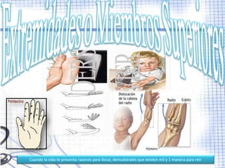 Cuando la vida te presenta razones para llorar, demuéstrales que existen mil y 1 manera para reír
 