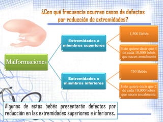 1,500 Bebés
                              Extremidades o
                            miembros superiores
                                                         Esto quiere decir que 4
                                                          de cada 10,000 bebés
                                                         que nacen anualmente
Malformaciones
                                                               750 Bebés
                              Extremidades o
                            miembros inferiores
                                                         Esto quiere decir que 2
                                                          de cada 10,000 bebés
                                                         que nacen anualmente.


Algunos de estos bebés presentarán defectos por
reducción en las extremidades superiores e inferiores.
 