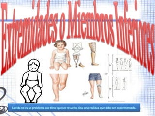 La vida no es un problema que tiene que ser resuelto, sino una realidad que debe ser experimentada.
 