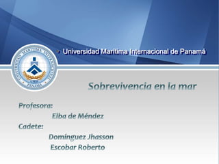  Universidad Marítima Internacional de Panamá
 