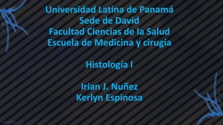Universidad Latina de Panamá
Sede de David
Facultad Ciencias de la Salud
Escuela de Medicina y cirugía
Histología I
Irian J. Nuñez
Kerlyn Espinosa
 
