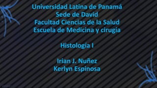 Universidad Latina de Panamá
Sede de David
Facultad Ciencias de la Salud
Escuela de Medicina y cirugía
Histología I
Irian J. Nuñez
Kerlyn Espinosa
 