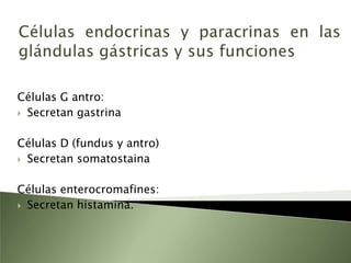 Control Hormonal de la secreción pancreáticaSecretina: segregan las células de la mucosa duodenal (células S).H antidiurética: en dosis elevada permite  la permeabilidad para el agua y esta aumenta en las células de los conductos pancreáticos.Insulina: no afecta la secreción directamente.Colecistocinina: es el estimulo +poderoso y aumenta la síntesis de enzimas.Acetilcolina: liberada por las fibras colinérgicas posglanglionares, secreción pancreática por la vía del nervio vago.