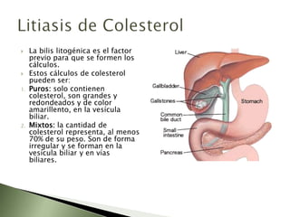 Fisiopatología de la colestasisInhibición de la bomba de sodio (Na⁺ K⁺-ATPasa):  se encuentra en la membrana basolateral y además de mantener el potencial de los hepatocitos, colabora directamente en la formación de la bilis.Cambios en la membrana plasmática: Cambios en la cant. Y composición de los fosfolípidos de la membrana o de la cantidad relativa de colesterol y esterificado.