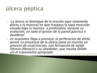 úlcera péptica Es aquella que afecta la mucosa que recubre el estómago o el duodeno . Las úlceras pueden afectar tanto a las mujeres como a los hombres sin importar su edad. Aun cuando anteriormente se pensaba que la comida picante o muy condimentada, el ácido y las tensiones eran las causas principales de las úlceras, ahora se sabe que las úlceras son causadas por la bacteria H. pylori que causa una gastritis crónica dificultando el proceso de regeneración de la mucosa propendiendo a la formación de la úlcera.
