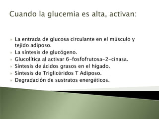 Los movimientos de estos sustratos están regulados por las hormonasInsulinaGlucagónSomatostatina