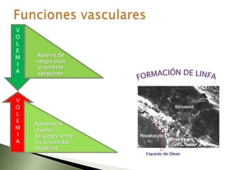 Aparece después de los 40 años, asociada frecuentemente con la obesidad, es la mas frecuentes de las diabetes.