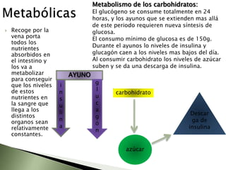 Los principales factores que determinan son genéticos y la influencia de los factores ambientales es escasa.