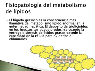 3 fasesLa insulina no desaparece del todo, la mayor parte de ellos pueden  ser tratados con dieta y reducción de obesidad.