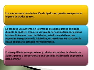 Fisiopatología Hepática