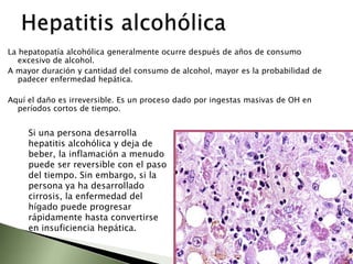 Funciones vascularesVOLEMIAReserva de sangre pasa al torrente sanguíneoFormación de linfaVOLEMIAAumenta la reserva de sangre entre los sinusoides hepáticos