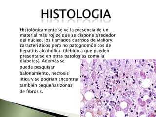 MetabólicasMetabolismo de los carbohidratos:El glucógeno se consume totalmente en 24 horas, y los ayunos que se extienden mas allá de este periodo requieren nueva síntesis de glucosa. El consumo mínimo de glucosa es de 150g. Durante el ayunos lo niveles de insulina y glucagón caen a los niveles mas bajos del día. Al consumir carbohidrato los niveles de azúcar suben y se da una descarga de insulina. Recoge por la vena porta todos los nutrientes absorbidos en el intestino y los va a metabolizar para conseguir que los niveles de estos nutrientes en la sangre que llega a los distintos organos sean relativamente constantes.AYUNOinsulinaglucagóncarbohidratoDescarga de insulinaazúcar