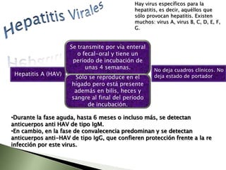  Todos estimulan la liberación de glucagón que a su vez promueve la gluconeogénesis, y estos son liberados a la porta por lo que llegan al hígado en mayores proporciones que en la sangre periférica. Cuando se produce hipertensión portal los niveles periféricos de estas hormonas pueden estar aumentados y los hepáticos disminuidos, originando hiperglucemia o hipoglucemia según sea la hormona que predomine. Fisiopatología del metabolismo de la glucosa