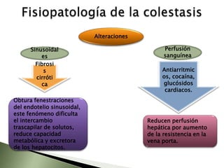 Fisiopatología de la vía biliar