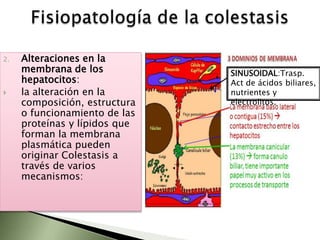ColestasisSe pude definir como la presencia excesiva de sustancias biliares en la sangre. Se puede acompañar de Ictericia o  de una alteración de los parámetros bioquímicos hepáticos.Aunque puede aparecer  como obstrucción biliar, también puede hacerlo sin signos de enfermedad biliar.