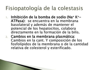 Colestasisse asocia a un aumento de las concentraciones séricas de compuestos que son normalmente excretados en la bilis, tales como los ácidos biliares, la bilirrubina y las enzimas fosfatasa alcalina(FA),gammaglutamiltranspeptidasa (GGT) y otras.