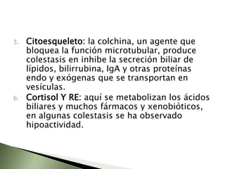 EtiologíaColestasis Obstructiva o Extrahepática:Tumores de las vías biliaresQuistesEstrechamiento de la vía biliar (estenosis)Cálculos en el conducto colédocoPancreatitisTumores o seudoquistes pancreáticosPresión sobre un órgano debido a una masa o tumor cercanoColangitis esclerosante primaria
