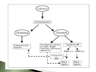 Colestasis Obstructiva o Extrahepática:  se originan por la existencia de obstáculos mecánicos o físicos en los conductos biliares intra y extrahepáticos que dificultan la llegada de la bilis al duodeno.