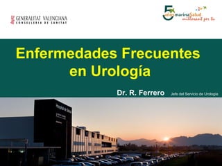 Enfermedades Frecuentes
en Urología
Dr. R. Ferrero

Jefe del Servicio de Urología

 