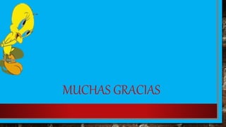 MUCHAS GRACIAS
 