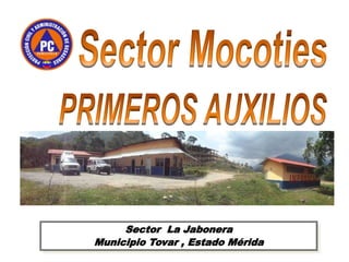 Sector La Jabonera
Municipio Tovar , Estado Mérida
 