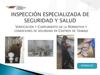 VERIFICACIÓN Y CUMPLIMIENTO DE LA NORMATIVA Y 
CONDICIONES DE SEGURIDAD EN CENTROS DE TRABAJO 
FORMATO 
 