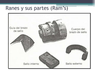 Ranes y sus partes (Ram’s)
 