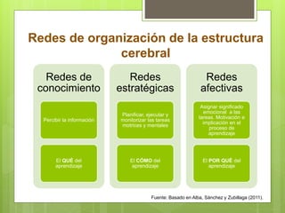 Redes de organización de la estructura
cerebral
Redes de
conocimiento
Percibir la información
El QUÉ del
aprendizaje
Redes
estratégicas
Planificar, ejecutar y
monitorizar las tareas
motrices y mentales
El CÓMO del
aprendizaje
Redes
afectivas
Asignar significado
emocional a las
tareas. Motivación e
implicación en el
proceso de
aprendizaje
El POR QUÉ del
aprendizaje
Fuente: Basado en Alba, Sánchez y Zubillaga (2011).
 