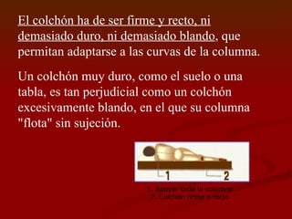 El colchón ha de ser firme y recto, ni demasiado duro, ni demasiado blando , que permitan adaptarse a las curvas de la columna. Un colchón muy duro, como el suelo o una tabla, es tan perjudicial como un colchón excesivamente blando, en el que su columna "flota" sin sujeción.   1. Apoyar toda la columna 2. Colchón firme y recto 