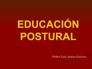EDUCACIÓN POSTURAL Pedro Luis Artero Zamora 