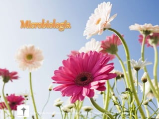 Dr. Reynaldo Hernández Fortich – Odontólogo Coordinador Clínica de Urgencias
 