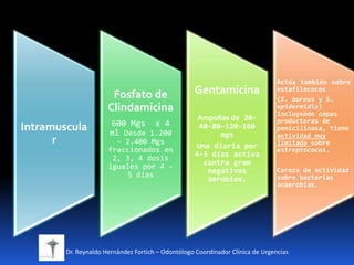 Intramuscula
r
Fosfato de
Clindamicina
600 Mgs x 4
ml Desde 1.200
– 2.400 Mgs
fraccionados en
2, 3, 4 dosis
iguales por 4 -
5 días
Gentamicina
Ampollas de 20-
40-80-120-160
mgs
Una diaria por
4-5 días activa
contra gram
negativos
aerobios.
Actúa también sobre
estafilococos
(S. aureus y S.
epidermidis)
Incluyendo cepas
productoras de
penicilinasa, tiene
actividad muy
limitada sobre
estreptococos.
Carece de actividad
sobre bacterias
anaerobias.
Dr. Reynaldo Hernández Fortich – Odontólogo Coordinador Clínica de Urgencias
 