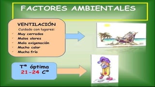 charla emirca Habito de estudio.pptx