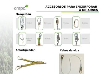 ACCESORIOS PARA INCORPORAR
A UN ARNES
Mosquetón
Amortiguador Cabos de vida
 