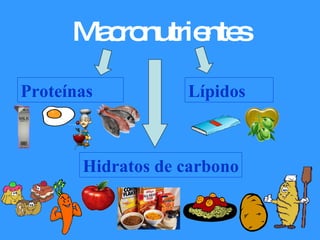 Macronutrientes Proteínas Lípidos Hidratos   de carbono 
