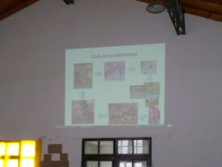 Charla escuela nº 71