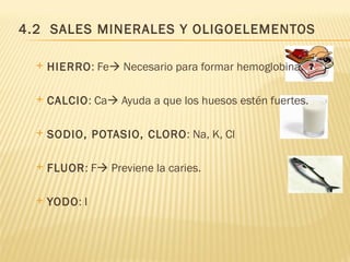 4.2 SALES MINERALES Y OLIGOELEMENTOS

     HIERRO: Fe Necesario para formar hemoglobina.

     CALCIO: Ca Ayuda a que los huesos estén fuertes.

     SODIO, POTASIO, CLORO: Na, K, Cl

     FLUOR: F Previene la caries.

     YODO: I
 