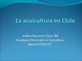 Andrea Navarrete Parra. BM
Estudiante Doctorado en Acuicultura
Becario CONICYT
 