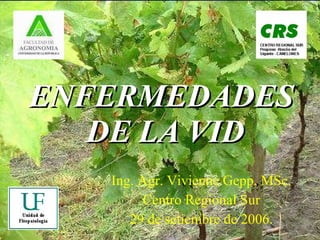 ENFERMEDADES  DE LA VID Ing. Agr. Vivienne Gepp, MSc. Centro Regional Sur 29 de setiembre de 2006. 