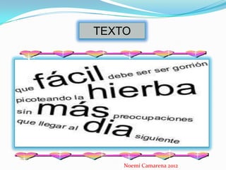 TEXTO




    Noemí Camarena 2012
 