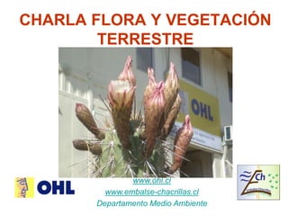 CHARLA FLORA Y VEGETACIÓN 
TERRESTRE 
www.ohl.cl 
www.embalse-chacrillas.cl 
Departamento Medio Ambiente 
 