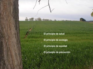 El principio de salud
El principio de ecología
El principio de equidad
El principio de precaución

 