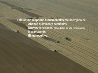 Esto último responde fundamentalmente al empleo de:
- Abonos químicos y pesticidas.
- Nuevas variedades. (Variedades de alto rendimiento)
- Mecanización.
- El monocultivo.

 