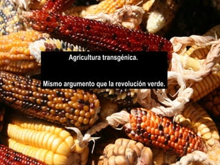 Agricultura transgénica.
Mismo argumento que la revolución verde.

 