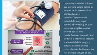 La presión arterial es la fuerza
que ejerce la sangre contra las
paredes de las arterias al ser
bombeada por el
corazón. Depende de la
cantidad de sangre que
bombea el corazón y de cuán
estrechas o rígidas sean las
arterias por las que
circula. Factores como el ritmo
cardíaco, la resistencia vascular,
la viscosidad de la sangre y
factores de estilo de vida
como el estrés, la alimentación
y el ejercicio, influyen en ella.
 