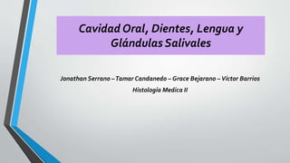 Cavidad Oral, Dientes, Lengua y 
Glándulas Salivales 
Jonathan Serrano –Tamar Candanedo – Grace Bejarano – Víctor Barrios 
Histología Medica II 
 