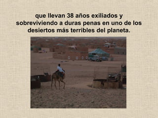 que llevan 38 años exiliados y
sobreviviendo a duras penas en uno de los
desiertos más terribles del planeta.
 